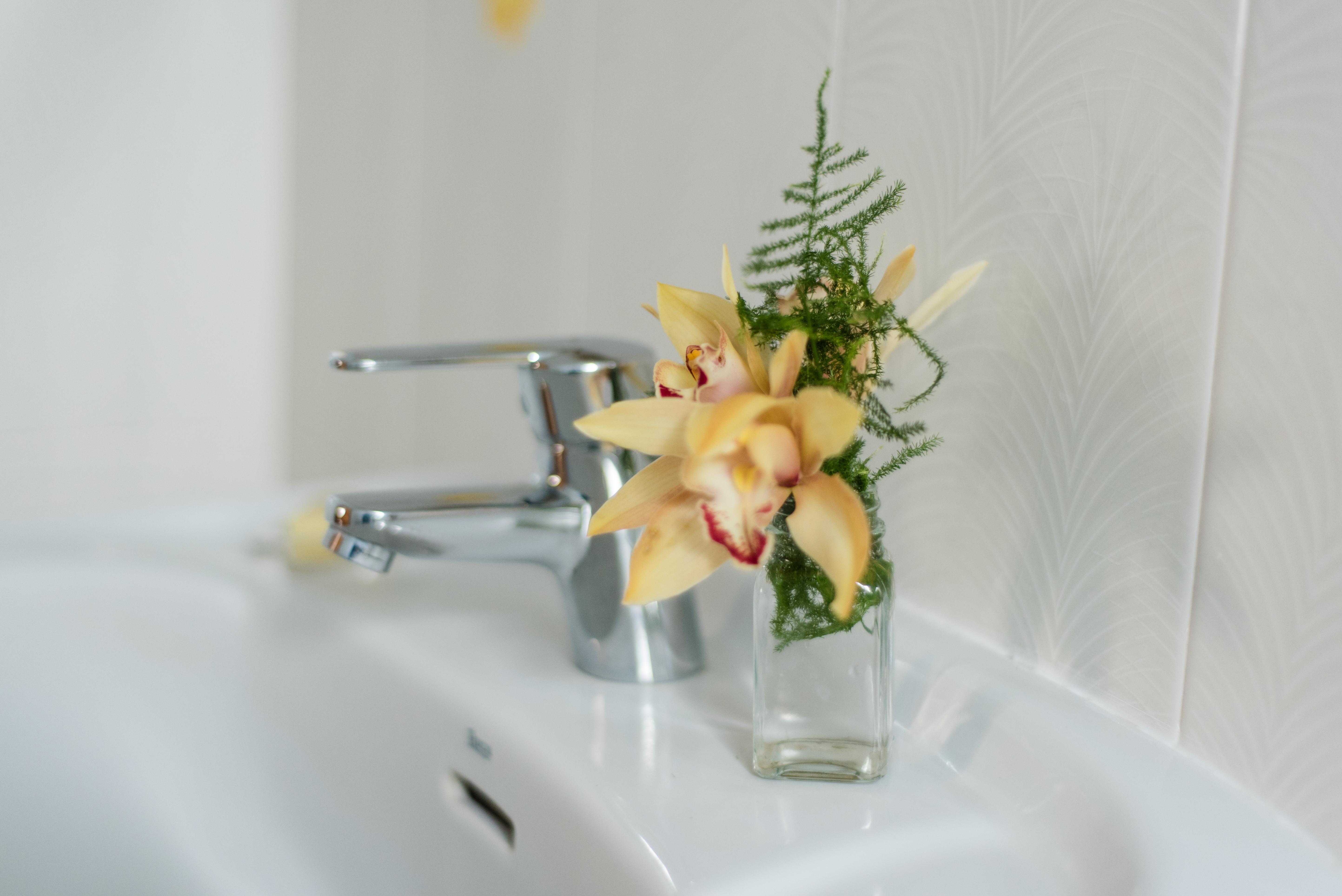 Apartamentos Mayoysa 下布雷尼亚 外观 照片